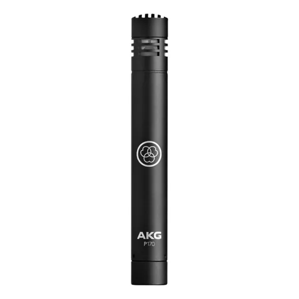 Alt-Img-AKG P170-Img-173553