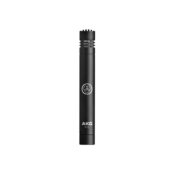 Par de micrófonos de condensador de diafragma pequeño AKG P170