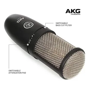 Alt-Img-AKG P220-Img-162849