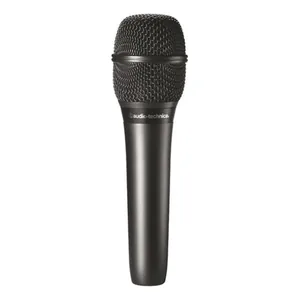 Audio-Technica AT 2010-Img-162774