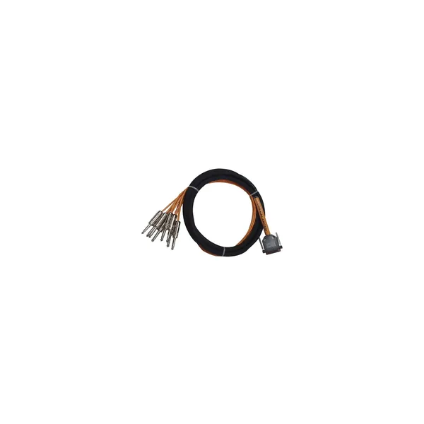 Avid DB25-TRS DigiSnake DB25 a cable serpiente TRS de 8 x 1/4″ (12′)