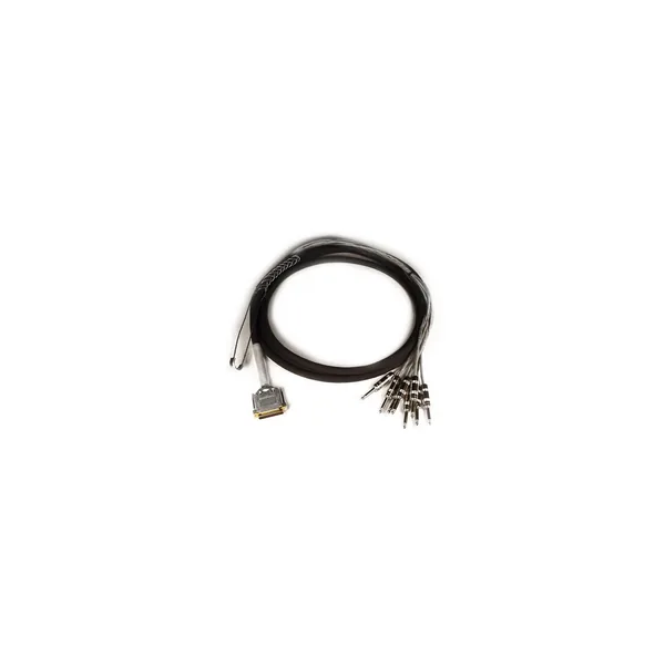 Avid DB25-TS +4 dBu/-10 dBV DigiSnake acolchado – Serpiente de salida (12 pies)