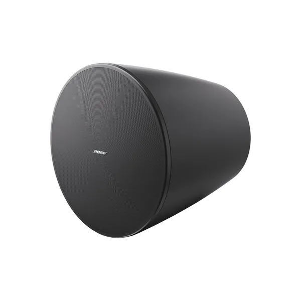 Bose Professional DesignMax DM10P-Sub 300W 10″ subwoofer pasivo (negro)