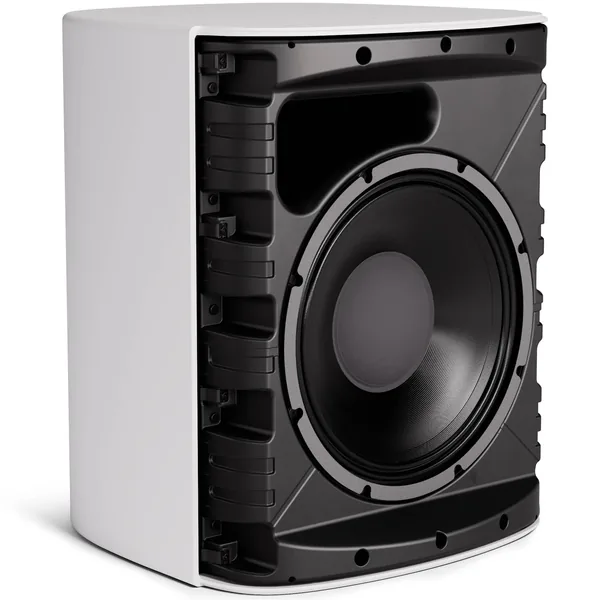 Bose Professional DesignMax DM12S Altavoz coaxial pasivo de 2 vías para montaje en superficie de 12″ (blanco)