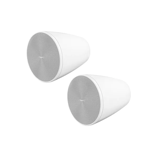 Bose Professional DesignMax DM5P Altavoces coaxiales pasivos de 2 vías para montaje en superficie (blanco, par)