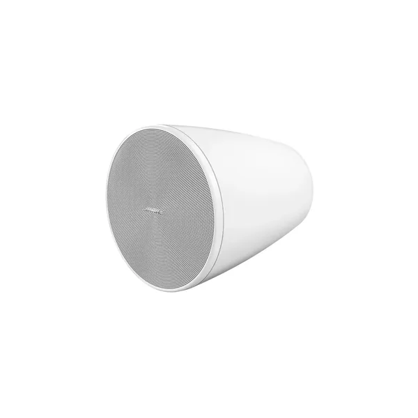 Bose Professional DesignMax DM5P Altavoces coaxiales pasivos de 2 vías para montaje en superficie (blanco, par)