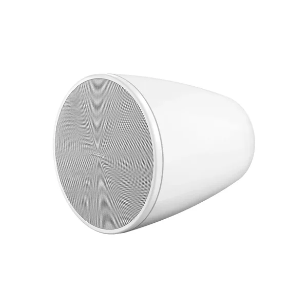Bose Professional DesignMax DM6PE Altavoces coaxiales pasivos de 2 vías para montaje en superficie (blanco, par)