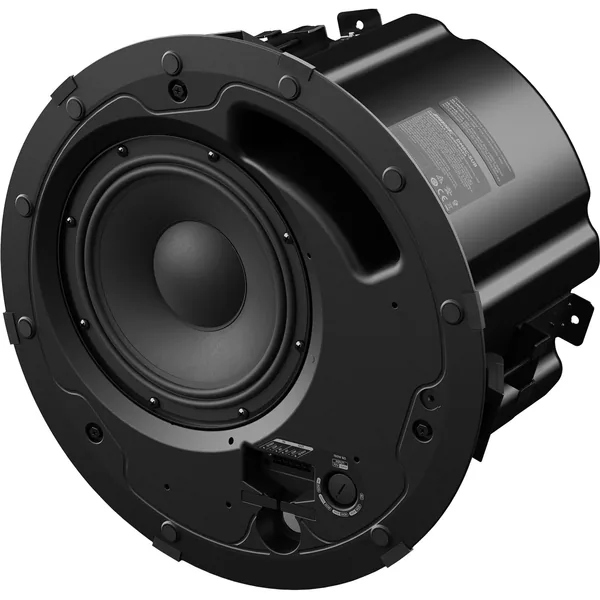 Bose Professional DesignMax DM8C-SUB subwoofer de techo (negro)
