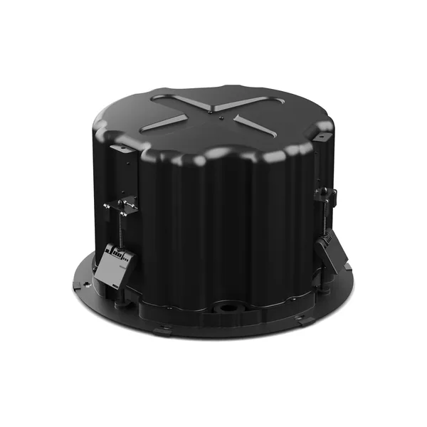 Bose Professional DesignMax DM8C-SUB subwoofer de techo (negro)