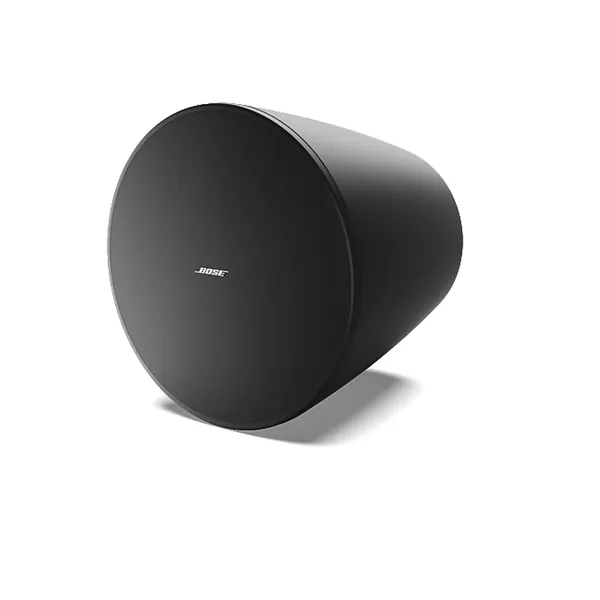 Bose DesignMax DM10P-SUB black-Img-163234