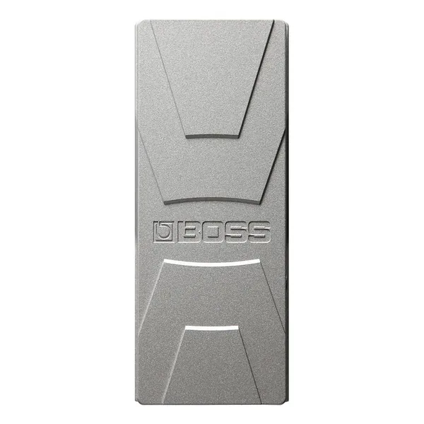 Boss FV-30L-Img-164105