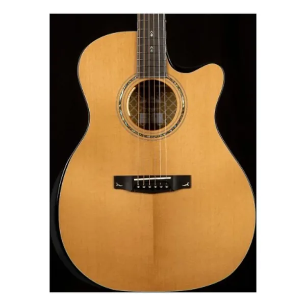 Cort Gold Edge LE-Img-187534
