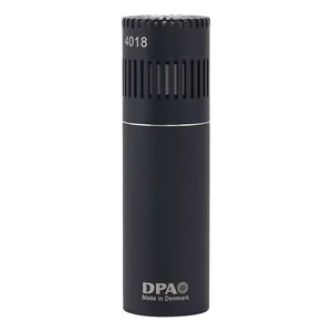 DPA 4018C-Img-199558