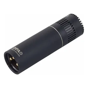 DPA 4018C-Img-199560