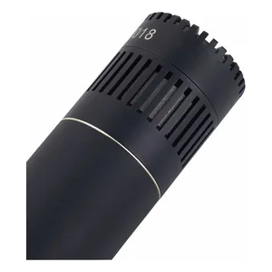 DPA 4018C-Img-199563