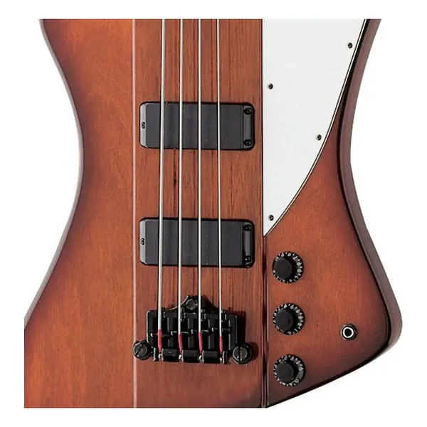 Epiphone Thunderbird IV VSB-Img-167395