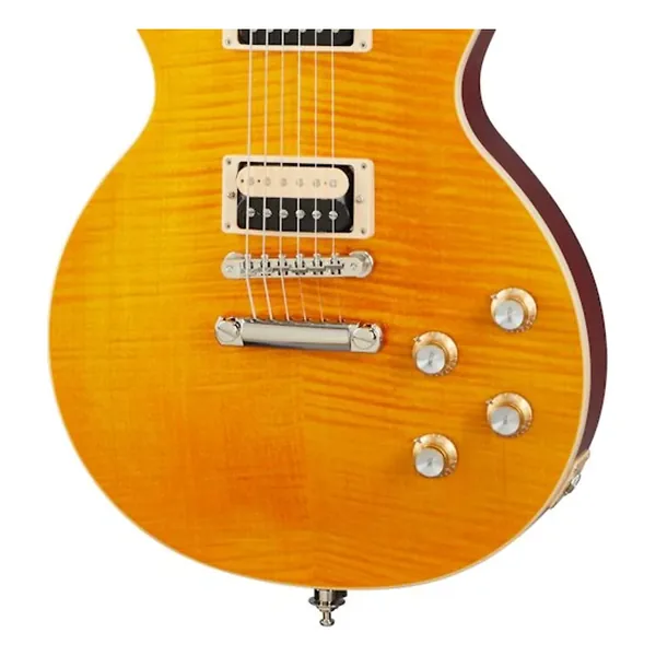 Gibson Les Paul Slash Standard AA-Img-162613