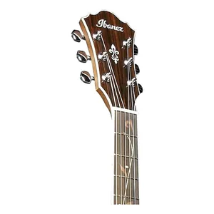 Ibanez AE245-NT-Img-187832