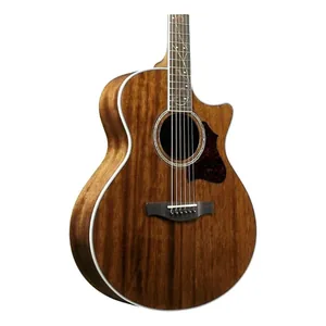 Ibanez AE245-NT-Img-187833