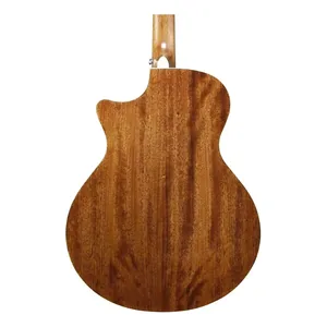 Ibanez AE245-NT-Img-187834