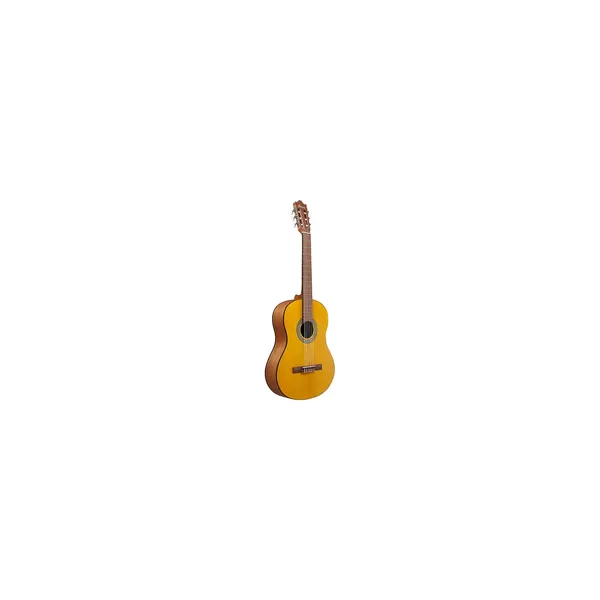 Ibanez GA3-OAM