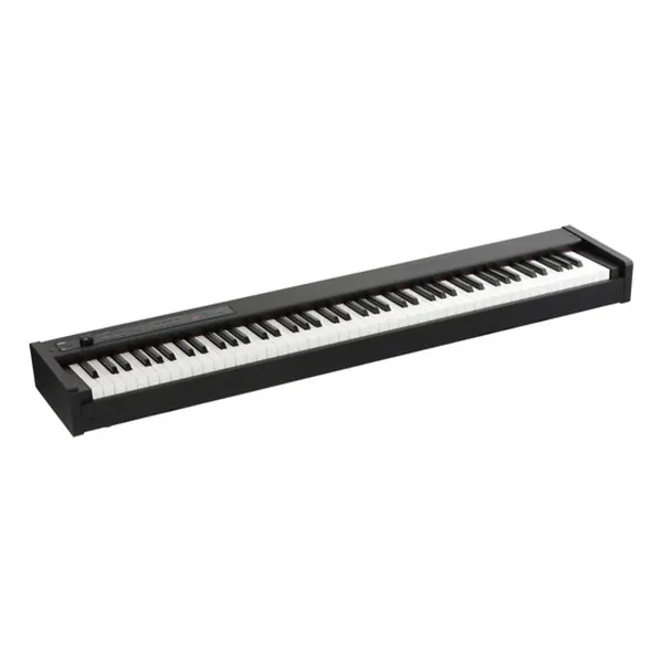 Korg D1-Img-171713