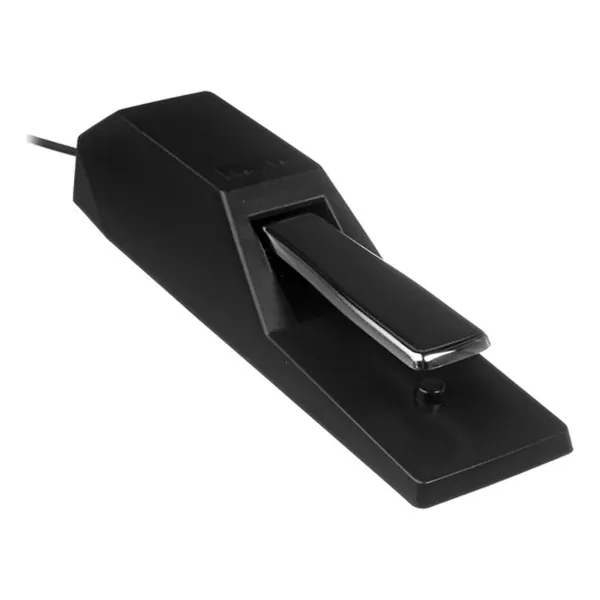 Korg DS1 H-Img-172383