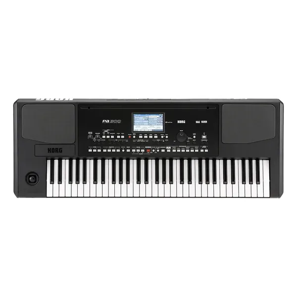 Korg PA-300-Img-172069