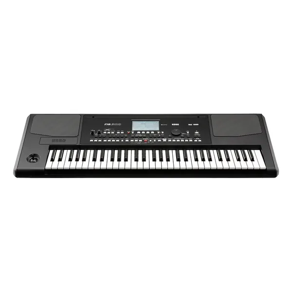 Korg PA-300-Img-172070