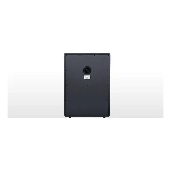Marshall Origin 212 A Cabinet-Img-170223