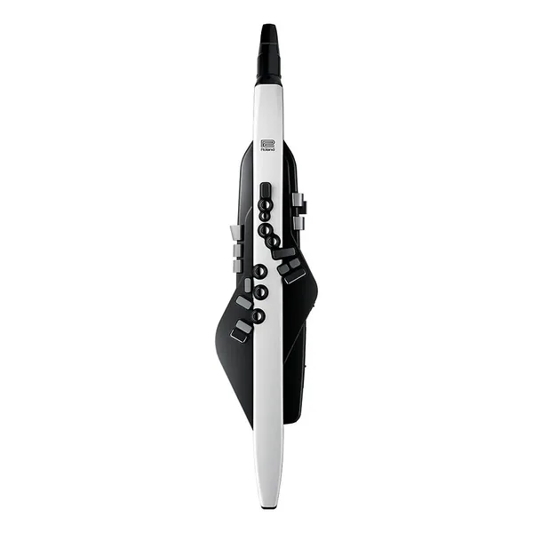 Roland Aerophone AE-20