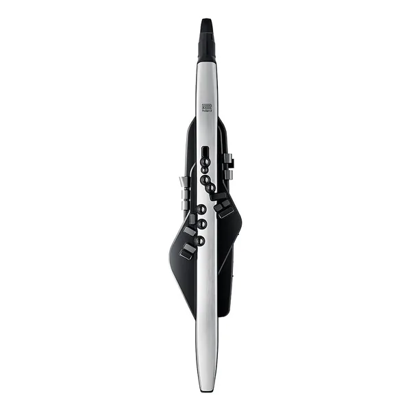 Roland Aerophone Pro AE-30