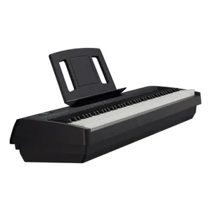 Roland FP-10-Img-187940