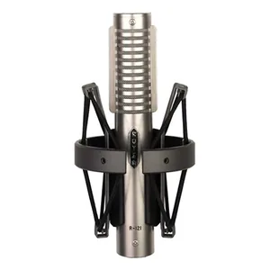 Royer Labs R-121-Img-236304