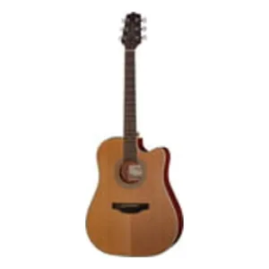 Takamine GD20CE-N-Img-119732