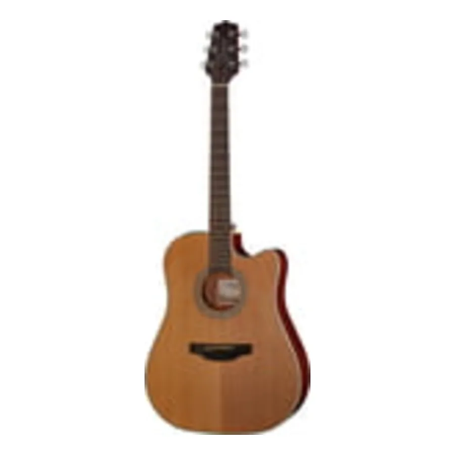 Takamine GD20CE-N-Img-119732