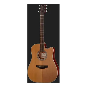 Takamine GD20CE-N-Img-119733