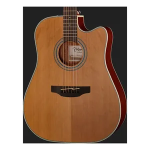 Takamine GD20CE-N-Img-119735