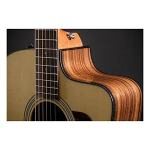 Taylor 210ce Plus-Img-235481
