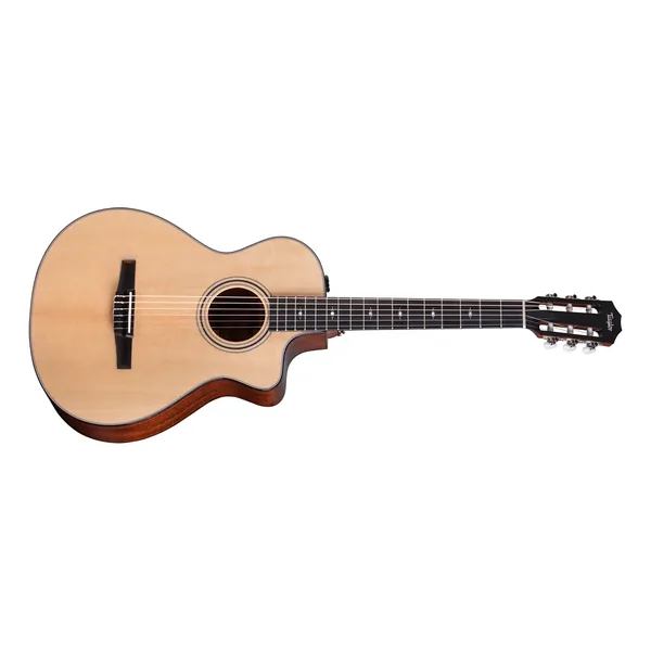 Taylor 312ce-N Nylon-Img-235467