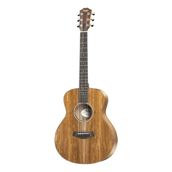 Taylor GS Mini-e Koa-Img-196173