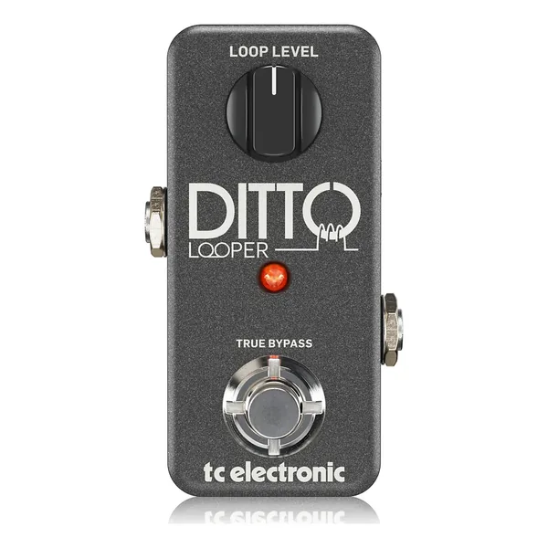 tc electronic Ditto Looper-Img-165244