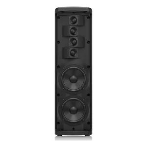 Turbosound IP300-Img-171232