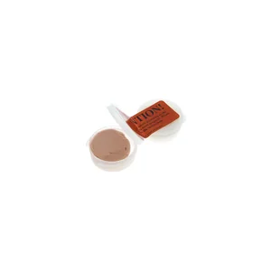 Ahead Custom Molded Earplugs
