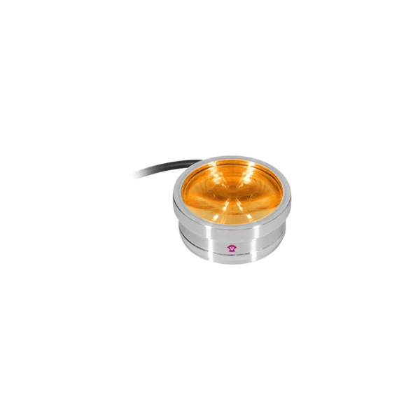 Ape Labs ApeCoin V2 IP Set of 2