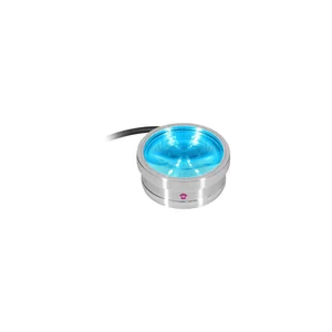 Ape Labs ApeCoin V2 IP Set of 2
