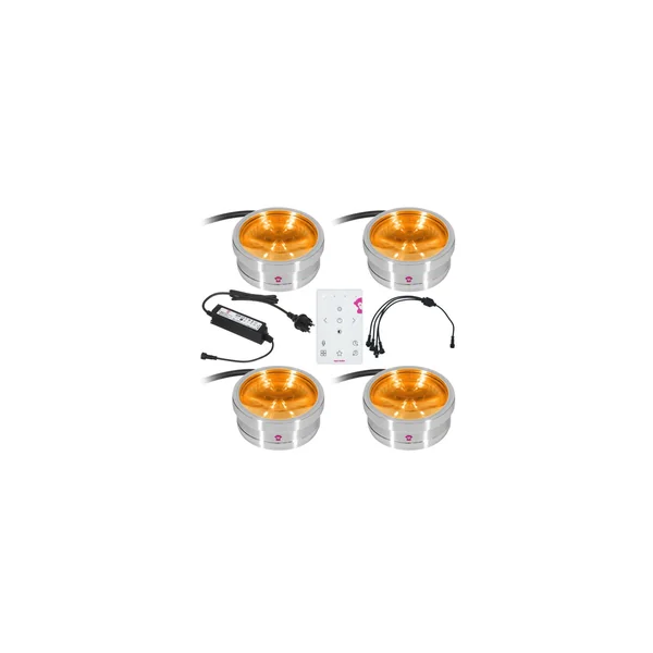 Ape Labs ApeCoin V2 IP Set of 4