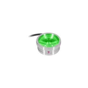Ape Labs ApeCoin V2 IP Set of 4