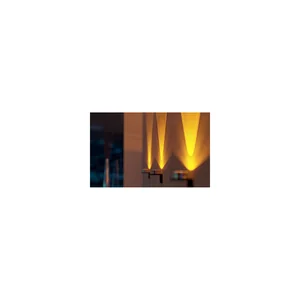 Ape Labs ApeCoin V2 IP Set of 4