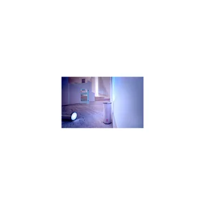 Ape Labs LightCan V2 Creme Set of 4
